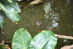 DSC_9189.JPG